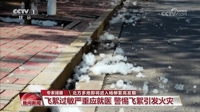 1690269105196558.gif 640.gif